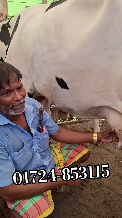 good evening