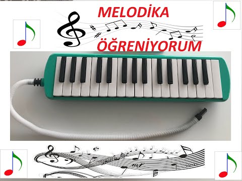 Melodika Eğitim Videosu Ders 1 ( Melodika çalma teknikleri ve Ağaçkakan Şarkısı)