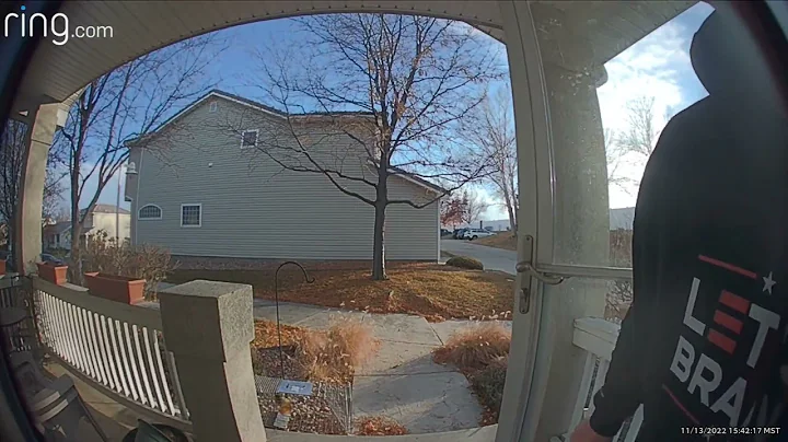 Hawk tries to snag my trapped Squirrel right in fr...