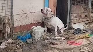 Being Hated & Unwanted, He Was Often Punished— He Begged Everyday for Mercy to No Avail