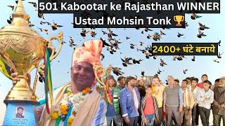 501 Kabootar Ke Rajasthan Winner Ustad Mohsin Tonk | 2400+Ghante Banaye | Pigeon | Tonk Pigeon Club