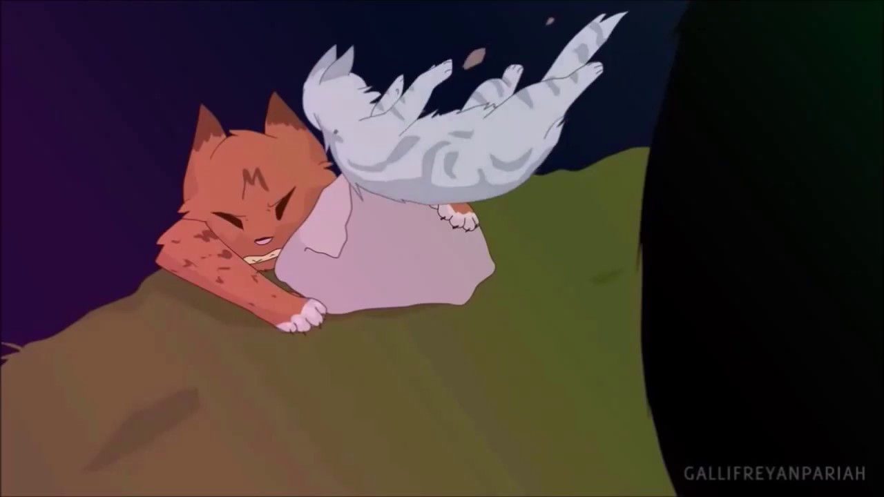 Ласточка и Грач-Грустный дэнс - YouTube