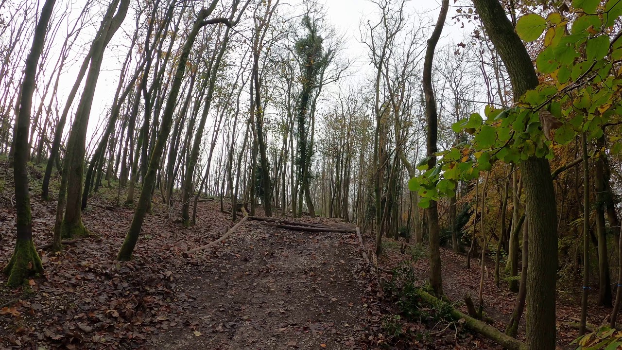 Steyning MTB November 2020