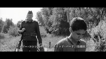 映画『異端の鳥』特報予告
