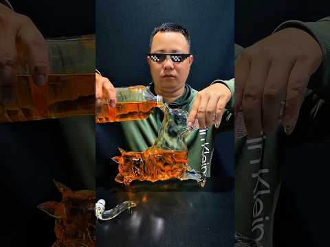 犬のすごいオレンジASMR音 #asmr #睡眠
