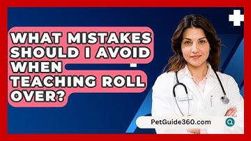 What Mistakes Should I Avoid When Teaching Roll Over? - PetGuide360.com