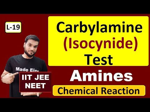 Video: Který provede karbylaminový test?
