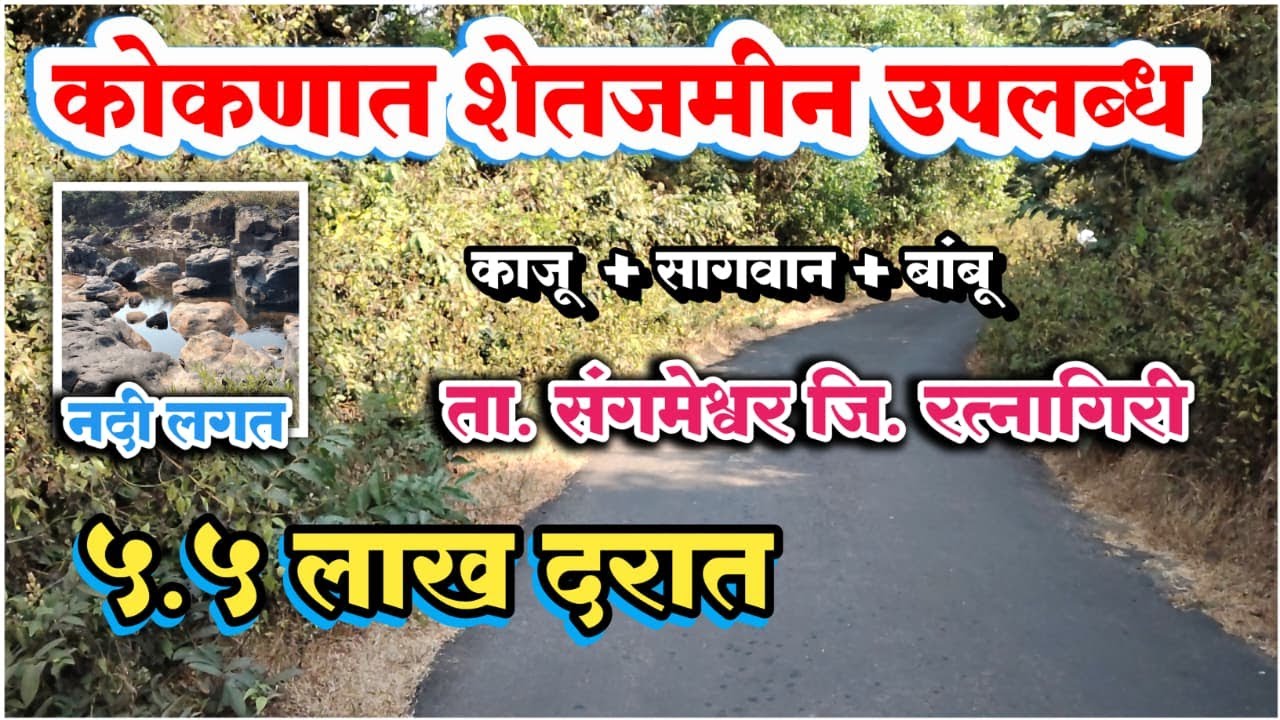 कोकणात 5.5 लाख दरात शेतजमीन उपलब्ध || नदी लगत || काजू, सागवान, बांबू बागायत शेतजमीन.