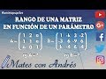 Rango de una matriz en función de un parámetro por determinantes 01