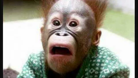 Im going in RemiX - SkittZ