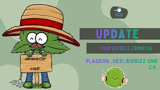 Neue Projekte und Update im Ganja Garten Cash Express beide gekeimt beide Trainieren