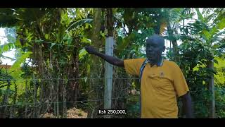 Hear it from Jared Odinga | Mshindi wa 1 Million