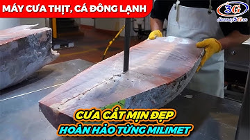 MÁY CƯA XƯƠNG CẮT CÁ ĐÔNG LẠNH - BÁO GIÁ TỐT| Điện Máy 3G