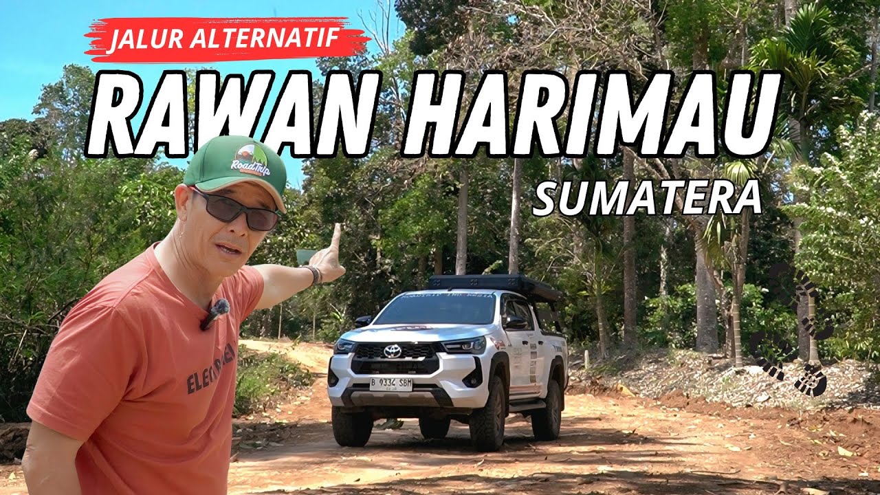 HARIMAU SUMATERA PALING BANYAK DISINI II SUOH