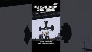 극락 가버리는 김춘추 고봉밥 기타 솔로 #데저트이글 #실리카겔