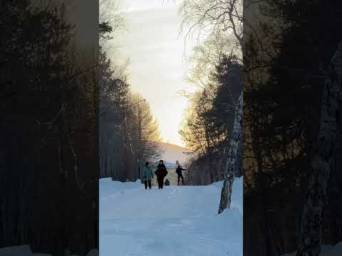 Мончегорск | Парк