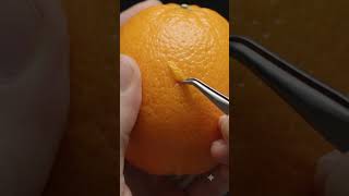 “The Hidden Texture Inside an Orange Peel 🍊🔍”