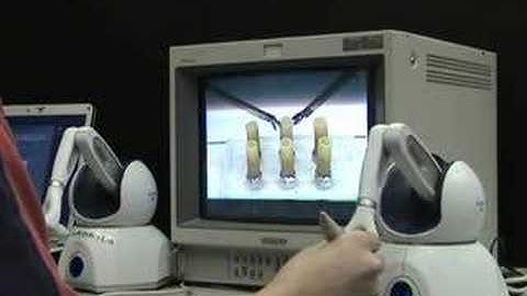 RAVEN Training - draft 2