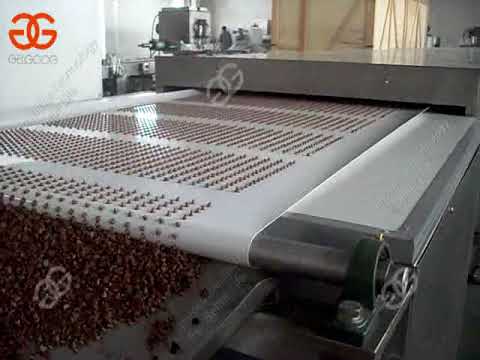 Videó: Csokoládéforgács Hamis Agave: Manfreda csokoládéforgács termesztése