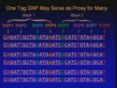 Measurement of Genetic Exposure