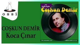 Coşkun Demir - Koca Çınar Resimi