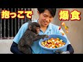 【パンチくん🐵】飼育員さん抱っこでごはんが標準スタイル！パンチ君だけの特別な時間♡