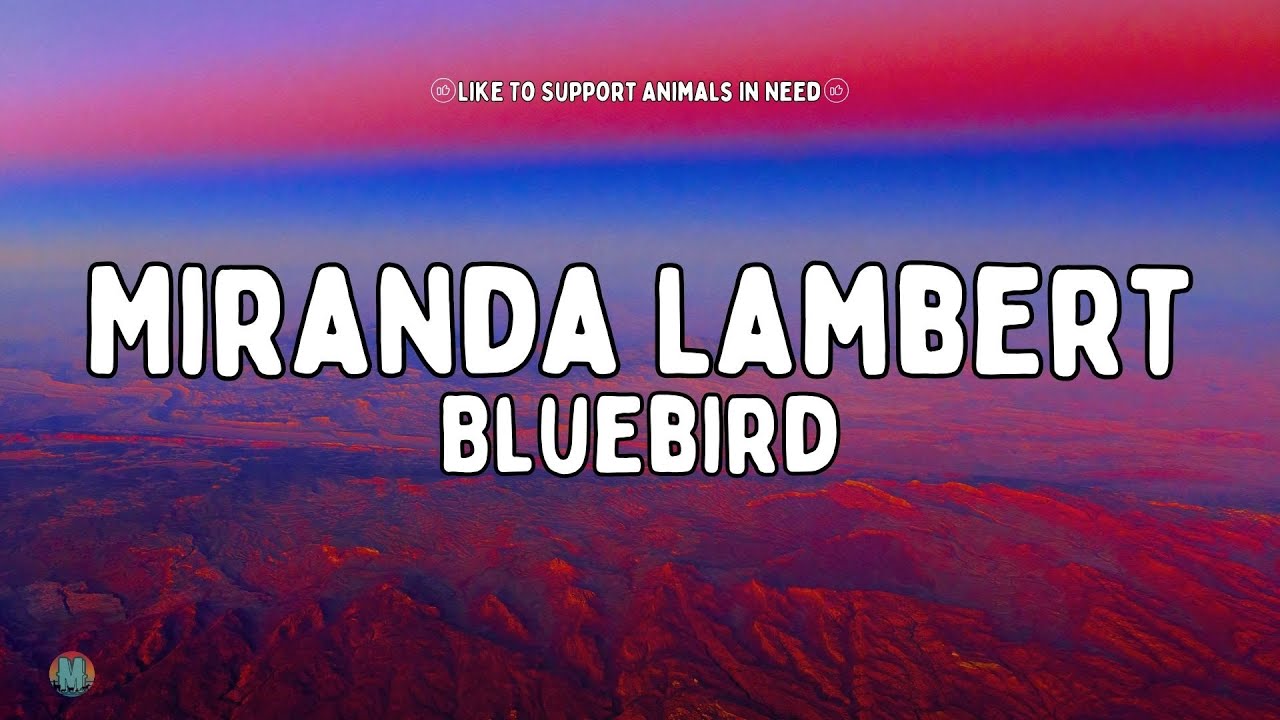 Miranda Lambert - Bluebird