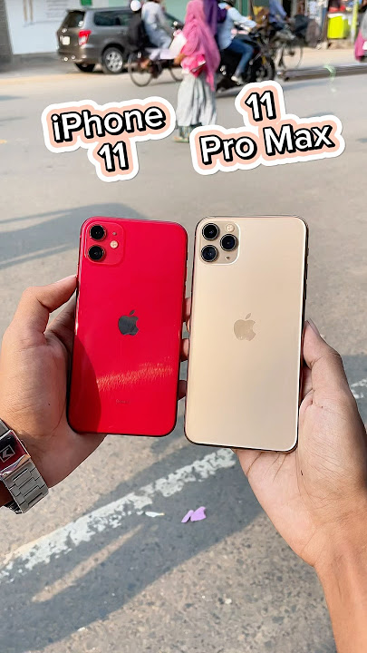 iPhone 11 Vs iPhone 11 Pro Max | Camera Zoom Test! 📸🔥#shorts