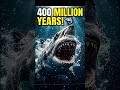 Sharks Dinosaurs Se Bhi Purani Hain! 😱 #shorts #facts #wildlife