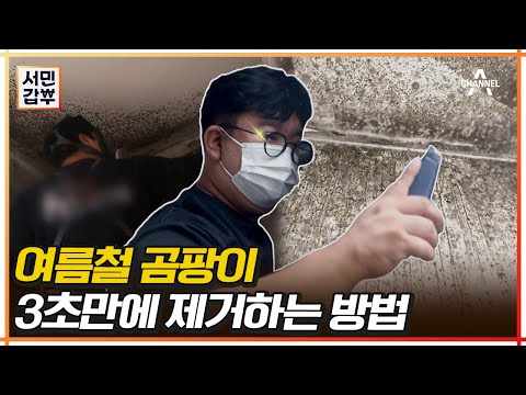 곰팡이를 반영구적으로 제거한다?! 셀프 시공도 가능한 갑부의 비결 대공개★ | 서민갑부 393 회