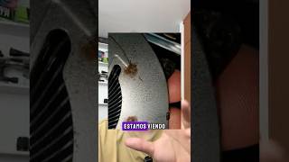 Como puedes evitar que se te queme la Rog g16, #asus #asusrogstrixg16 #respondiendopreguntas