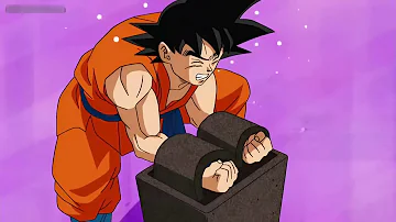 ¿Cuánto peso cargan Goku y Vegeta?