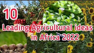 10 Leading Agricultural Business Ideas in Africa 2022