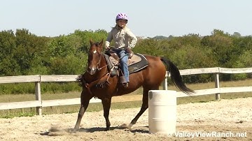 Maisies Instant Cat***For info, price, etc., go to our website: ValleyViewRanch.net***