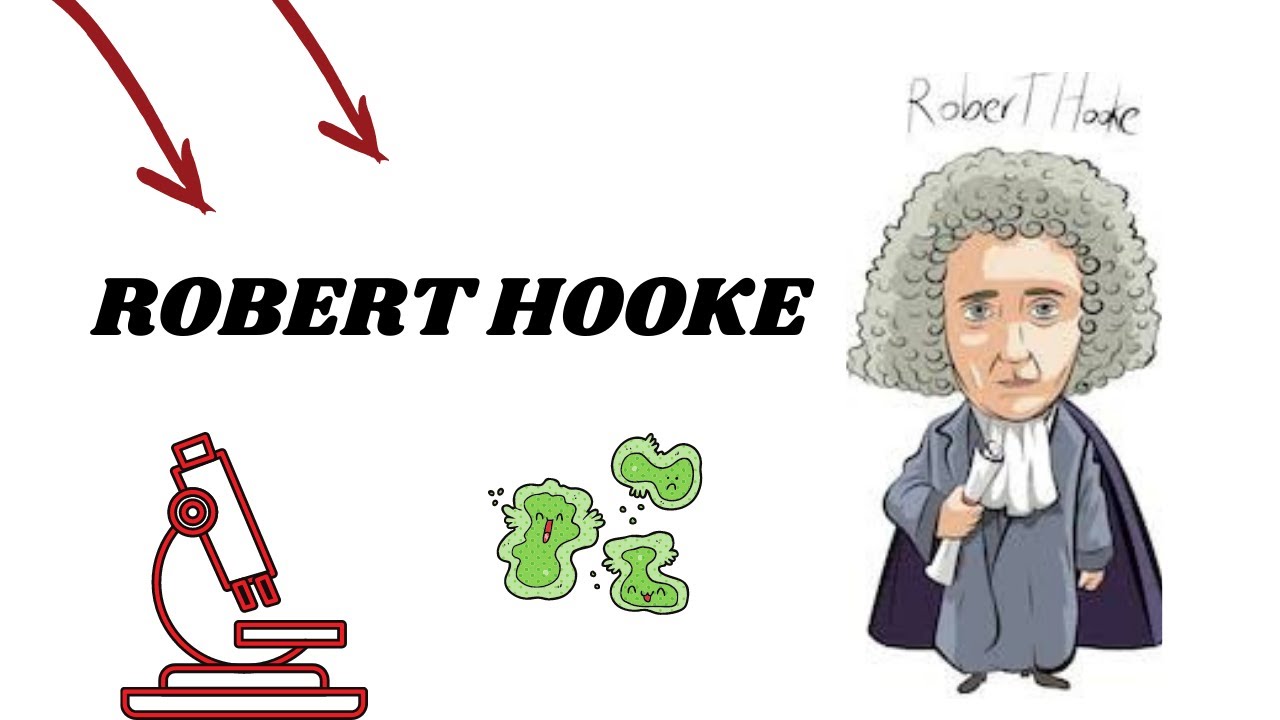ROBERT HOOKE: um cientista eclético - YouTube