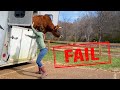 Moving cows is hard