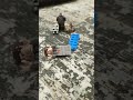 #wars #lego #ww2 #europe #history #memes #music ну смешно
