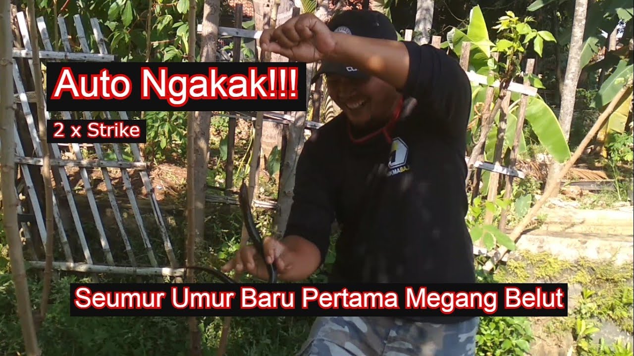Video Lucu Mancing Belut - Edisi Pemula