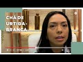 Chá de URTIGA-BRANCA Contra Inchaço na Próstata | Chá das Cinco com Prof. Lara Gabriela