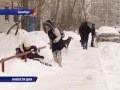 В снежном плену. Снегопад в Оренбурге (15.01.16)