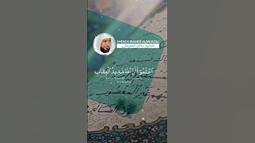 Surah Al Maidah | سورة المائدة🍃