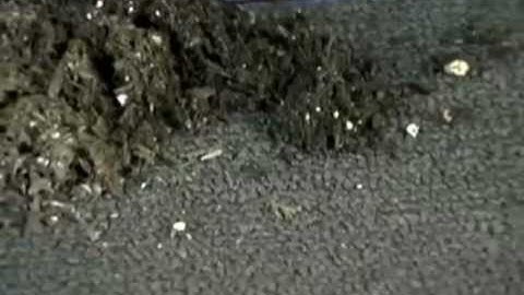 Lloyd Classic Loop Floor Mats