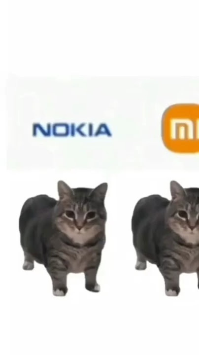 OIA OIA OIA Kucing Nada Dering Nokia