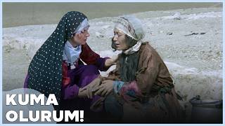 Kuma Türk Filmi Hanım, Kuma Bulmaya Çıkıyor