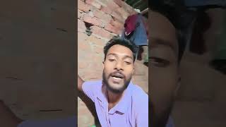 tu jamane ke parwana kar #song #love #comedymove #comedyfilms#hindisong
