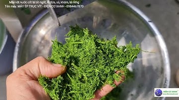 Máy vắt nước cốt lá bồ ngót, lá dứa, gừng, nghệ, sả - Điện Cơ Xanh - 0984467870