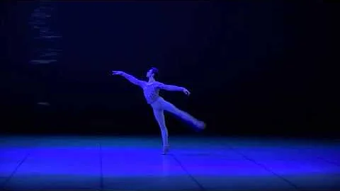 Paul Marque  "Swan lake" man variation by Rudolf N...