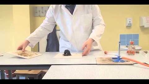 Flame Tests, with extra flame