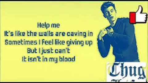 Shawn mendes In my blood