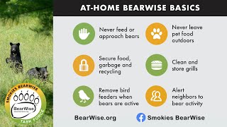 BearWise Basics: Important info for Smokies visitors and residents from Wilderness Wildlife Week by Smokies Life 498 views 10 months ago 2 minutes, 51 seconds